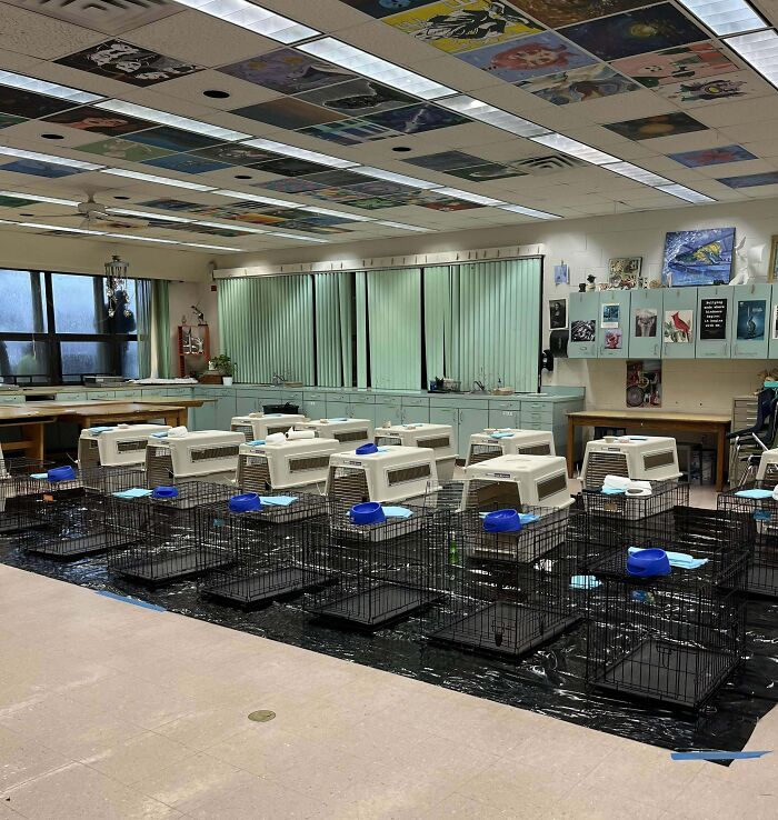 I’m Working At A Pop-Up Animal Shelter At A Local High School For Hurricane Ian