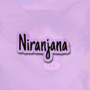 niranjanapanicker avatar