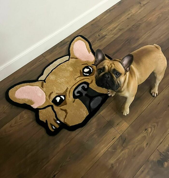 Colorful brown dog rug