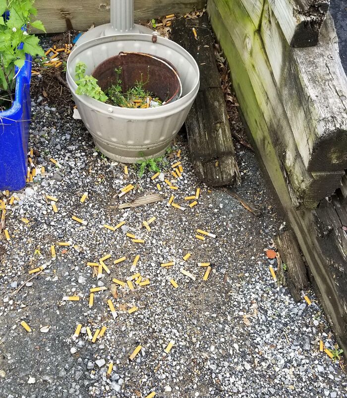 The Way My Coworkers Leave Our Smoke Area