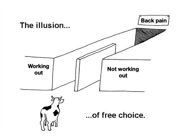 Cartoon of cow choosing between working out and not, both leading to back pain, illustrating gym rat humor.