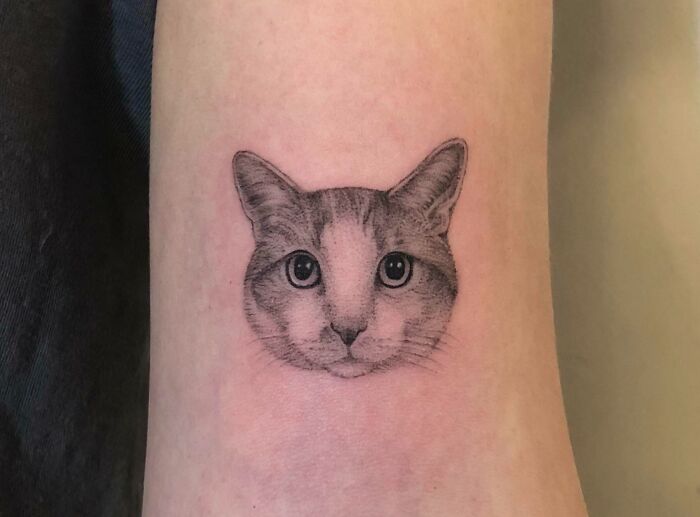 Realistic cat tattoo on arm, showcasing intricate details and lifelike features.
