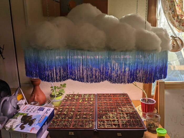 My Wife Let Me Keep The Seed Starting Area In The Living Room, But Only On The Condition That She Can Turn The Grow Light Into A Cloud. I Think It Turned Out Pretty Sweet