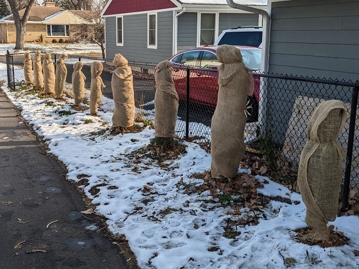 I Was Burlapping Trees For The First Time And Ended Up Summoning A Horrifying Wall Of Silent Egyptian Mummies