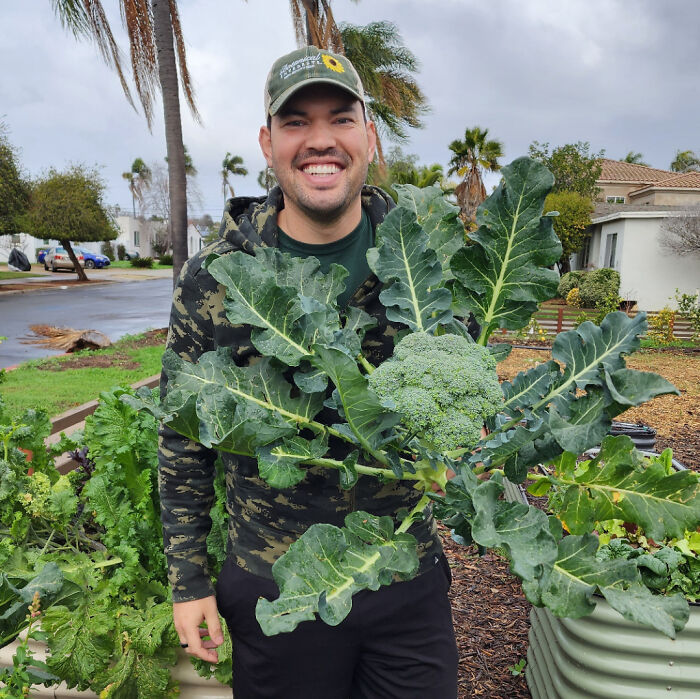 Took A Few Years, But Finally Figured Out Brassicas In My Climate! (10b)