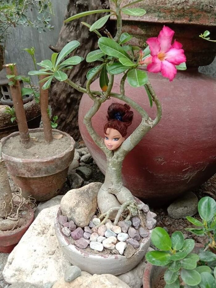 The Head Just Fits Perfectly