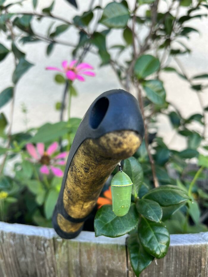 Guess My Trowel Is Out Of Commission For A Couple Weeks