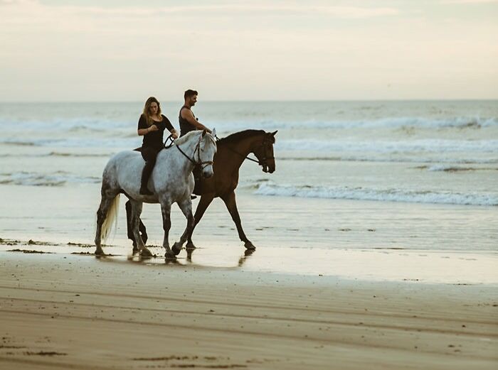 Horseback Ride On The Beach