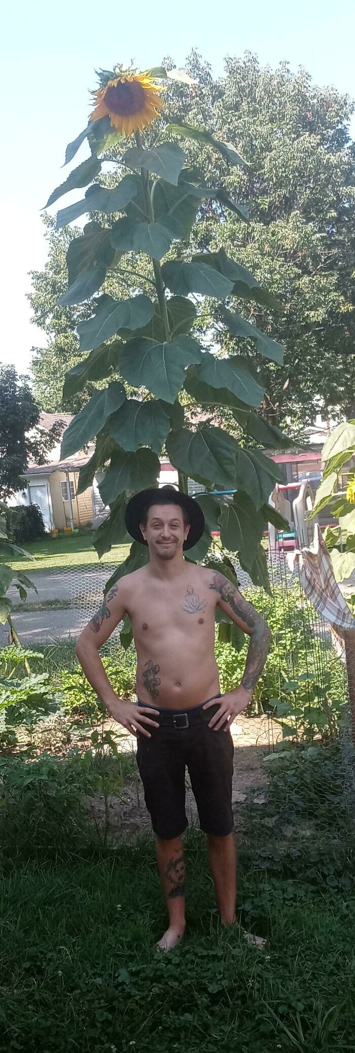 Grew This Beautiful Giant From A Seed. Absolutely Thrilled. This Is By Far My Pride And Joy