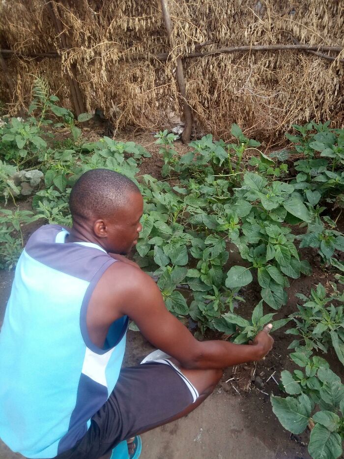 This Is How I'm Doing It In A Semi Desert Region