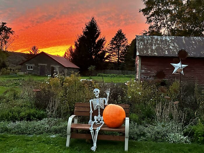 Harvested My Sons Pumpkin, From The Plant He Brought Home In A Paper Cup From Pre-K; It Was The Only Pumpkin On The Plant But It Was Huge (Sunset Pic Strictly For Up Votes Lol)