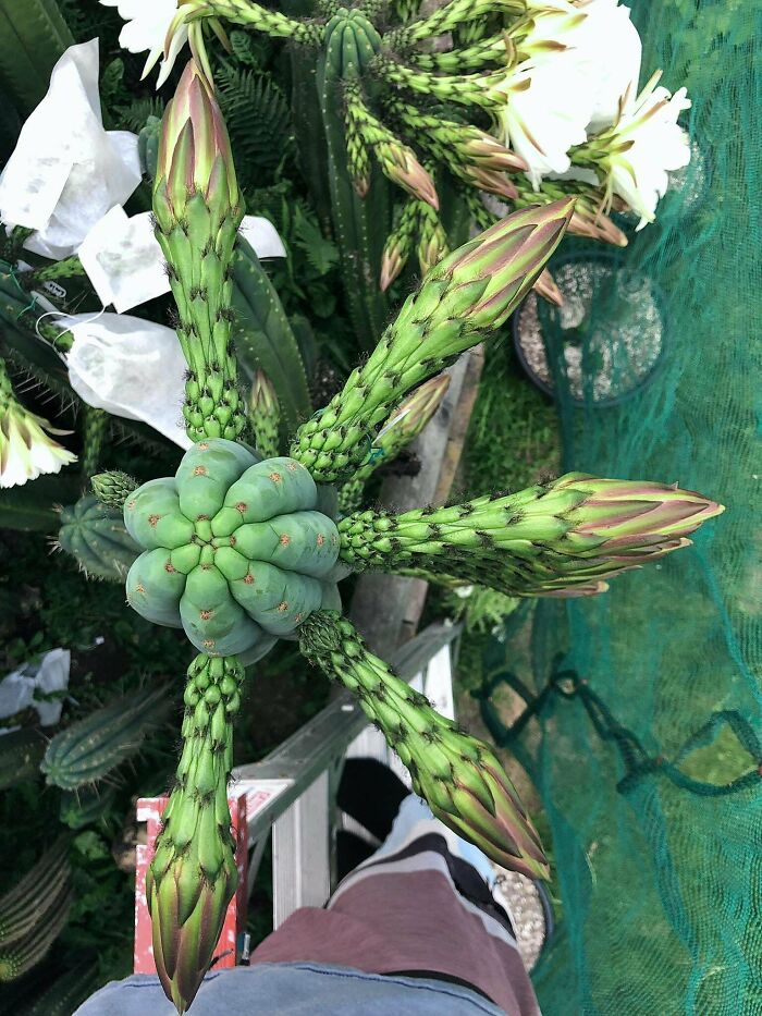 It's Nice To Get Something In Return For All My Literal Blood, Sweat, And Tears