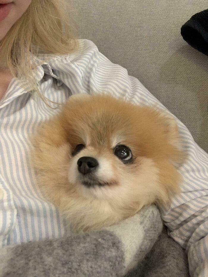 The Way She Looks At Me