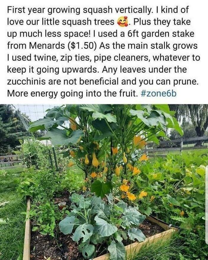 Has Anyone Seen Or Tried This?