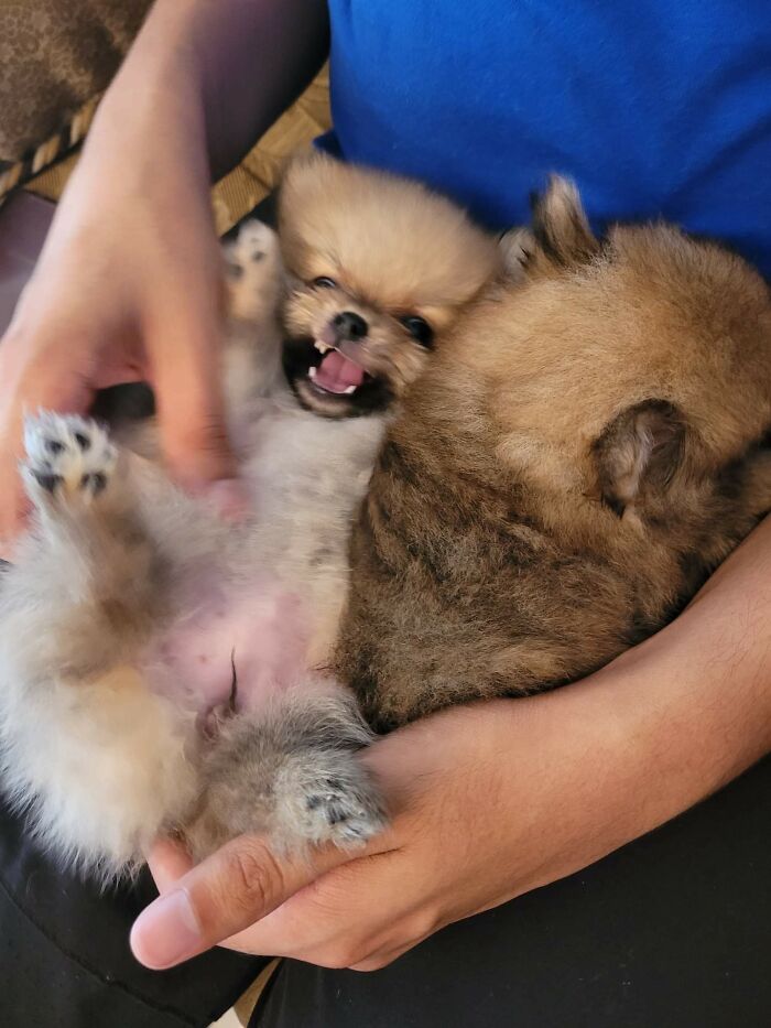 This Smiling Lil Lady Will Be Home In 1 Week, So Excited To Pick Her Up!