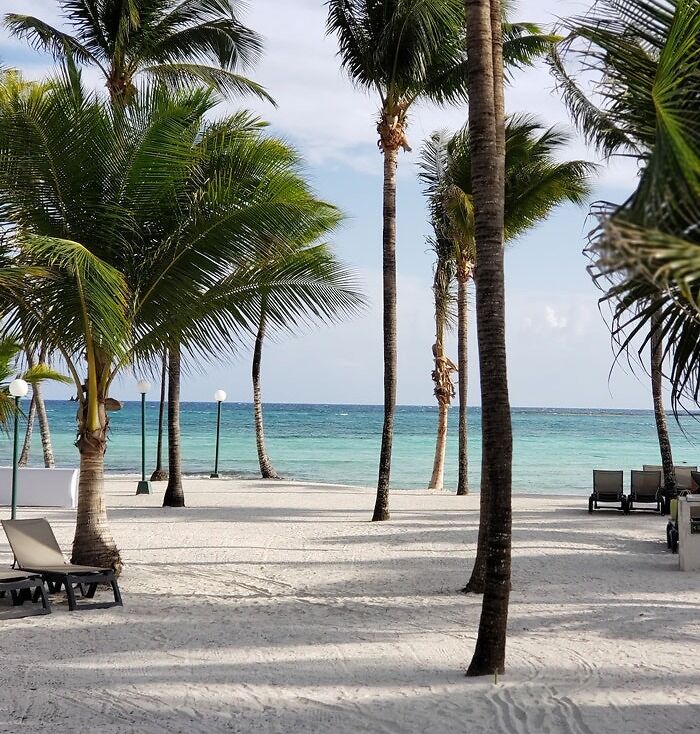 Beach with palm trees 