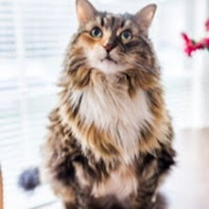 anabellemalone-porter avatar