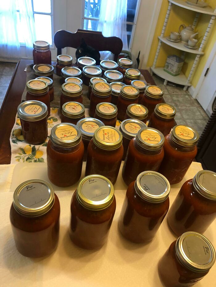 My Two Tomato Plants Have Been Giving Me An Abundance!