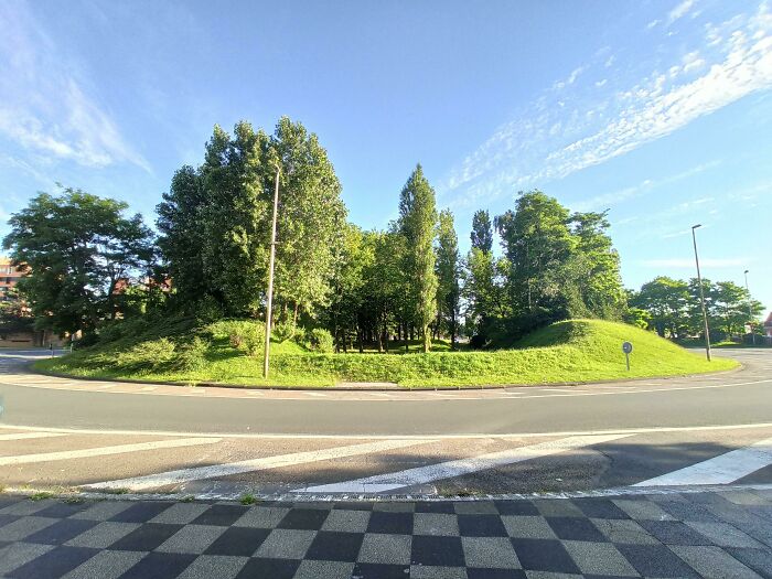 Roundabout With Some Nature In The Middle, France