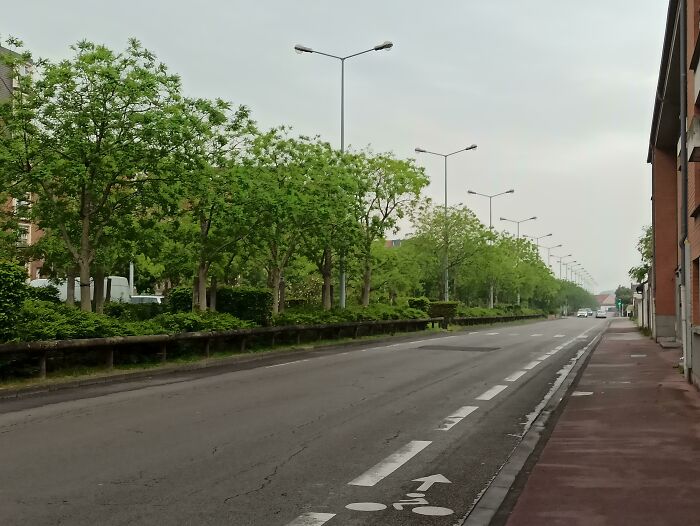 A Bit Of Green In The Middle Of The City