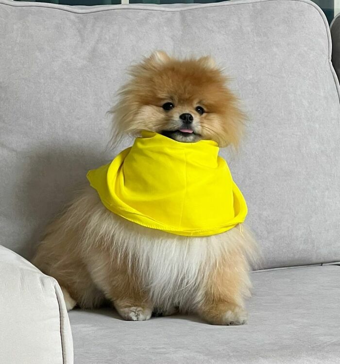 Do You Want A Snack?