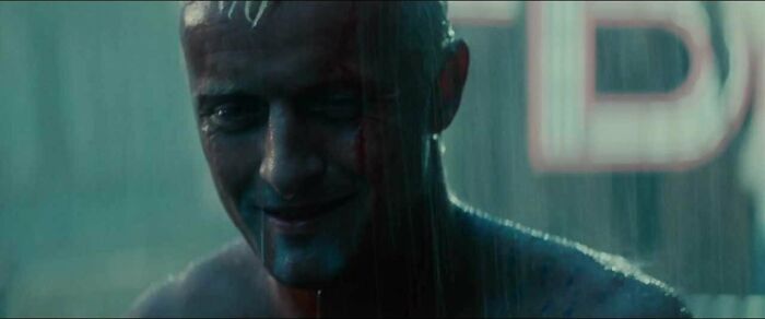 Batty standing under the rain 