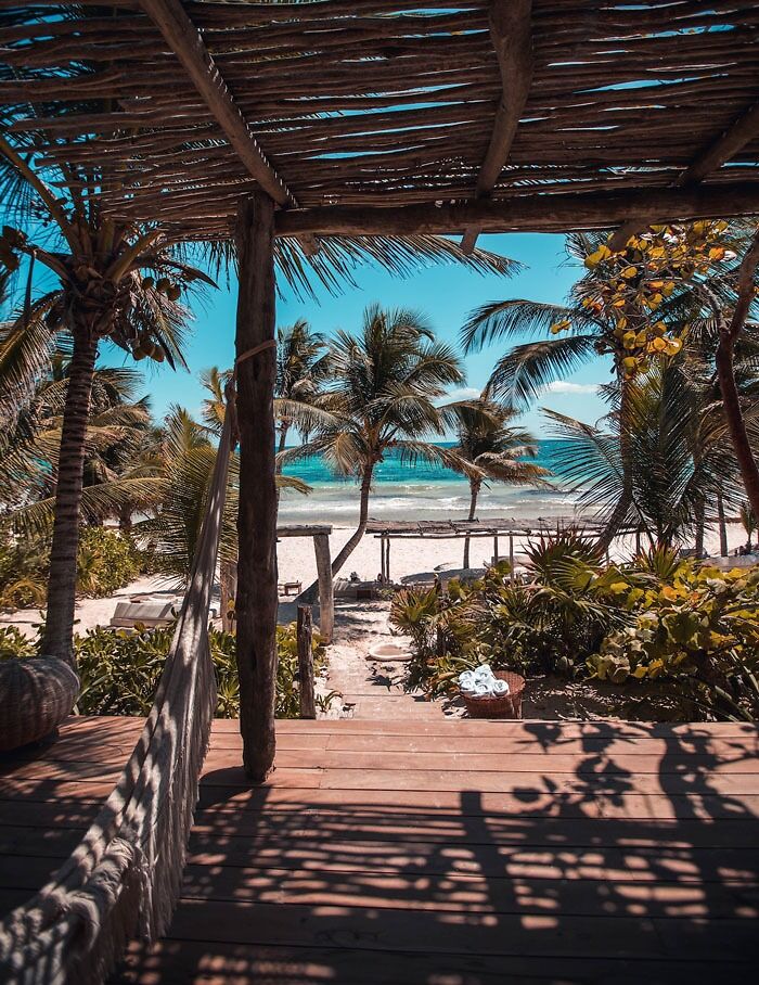 View from a wooden hut near a beach 