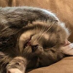 skipwatkins50 avatar