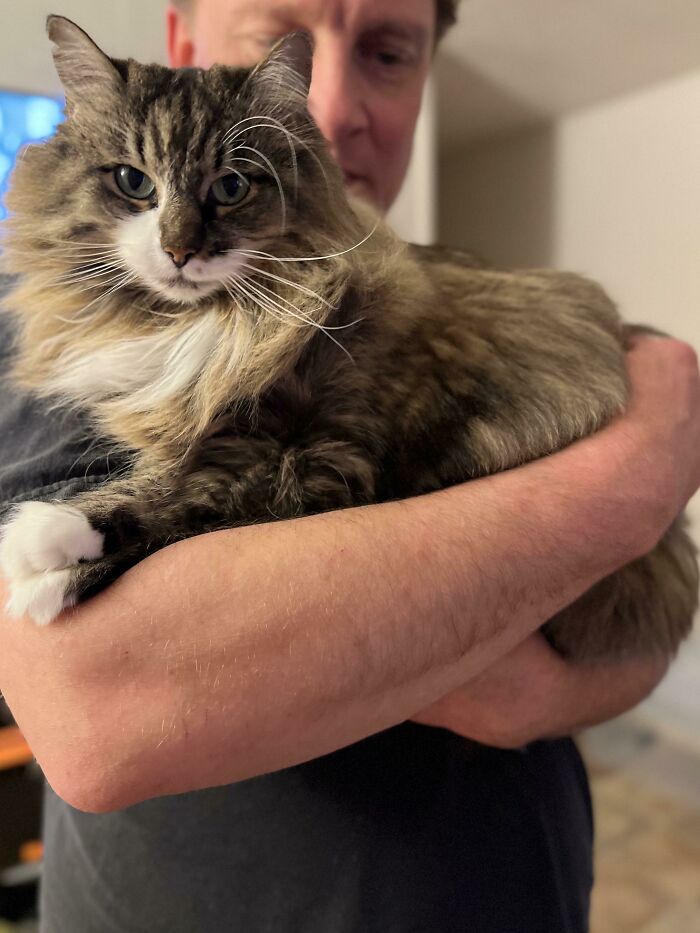 We Adopted This Girl's Brother Two Years Ago And Went Back For Her Three Months Later (They Were 8, Now 10). Meet Fatness Everbeans, Who Didn't Come Out From Under The Bed For Over A Month