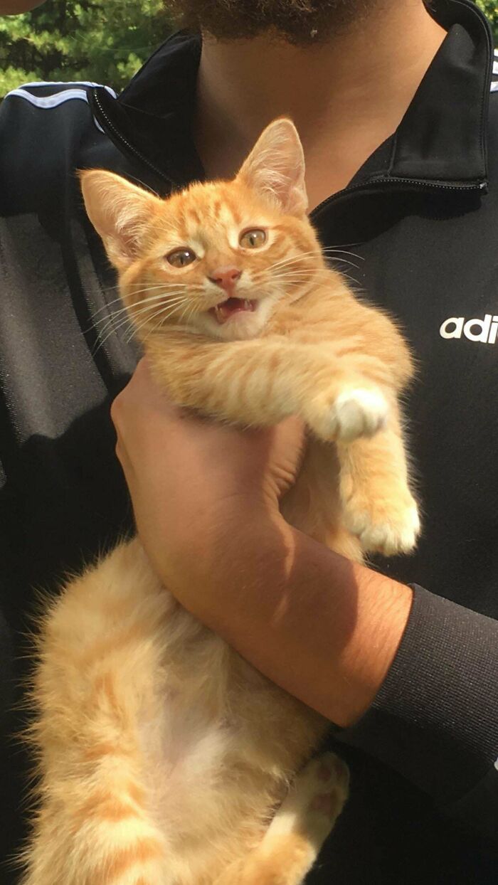 Frank’s Face After His Gotcha Moment. Halllp!