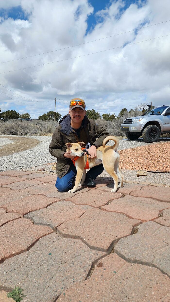 Conduje 4,5 horas para adoptar a Wowie