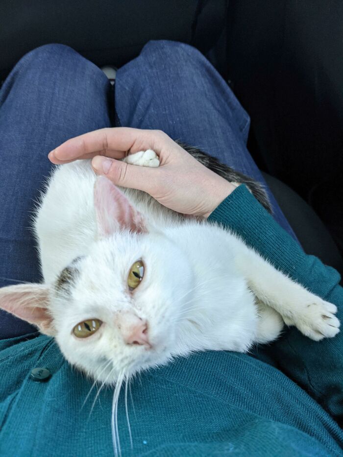Su mirada de amor cuando se dio cuenta de que nunca volverá a pasar frío ni hambre