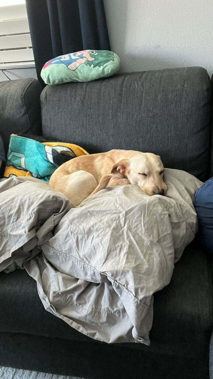 My New Best Buddy Coco