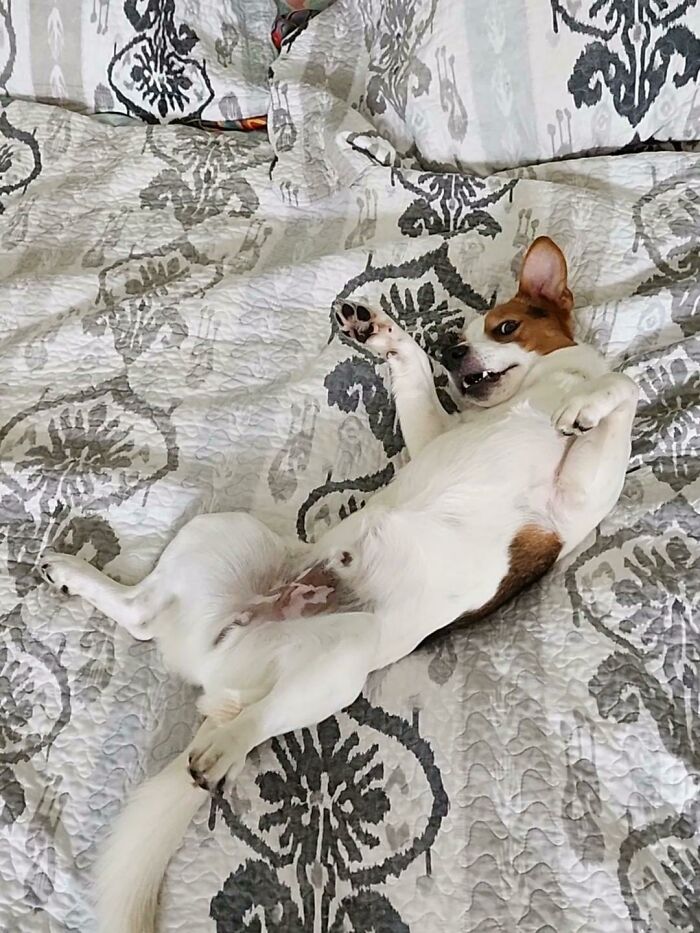 He Seems To Be Settling In