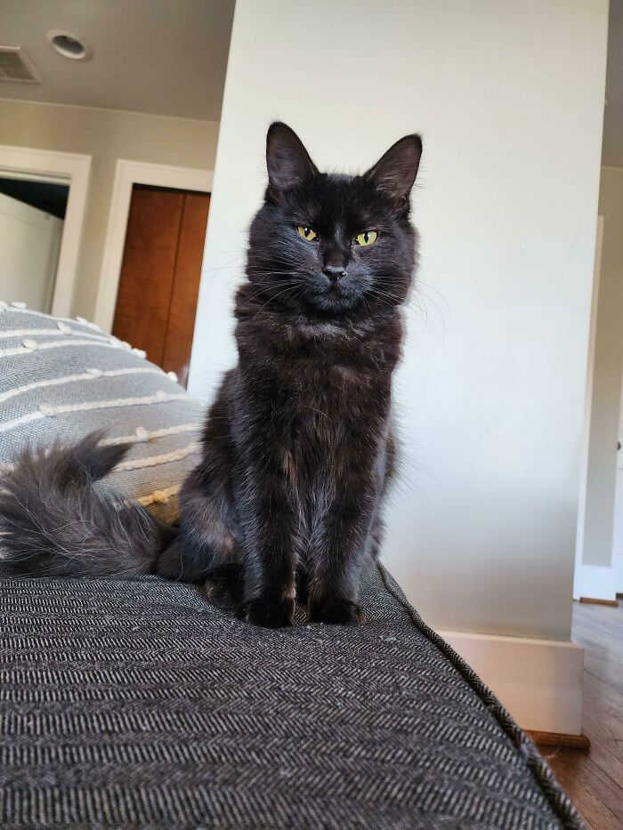 My Best Photo Yet! I Adopted Her About A Week Ago