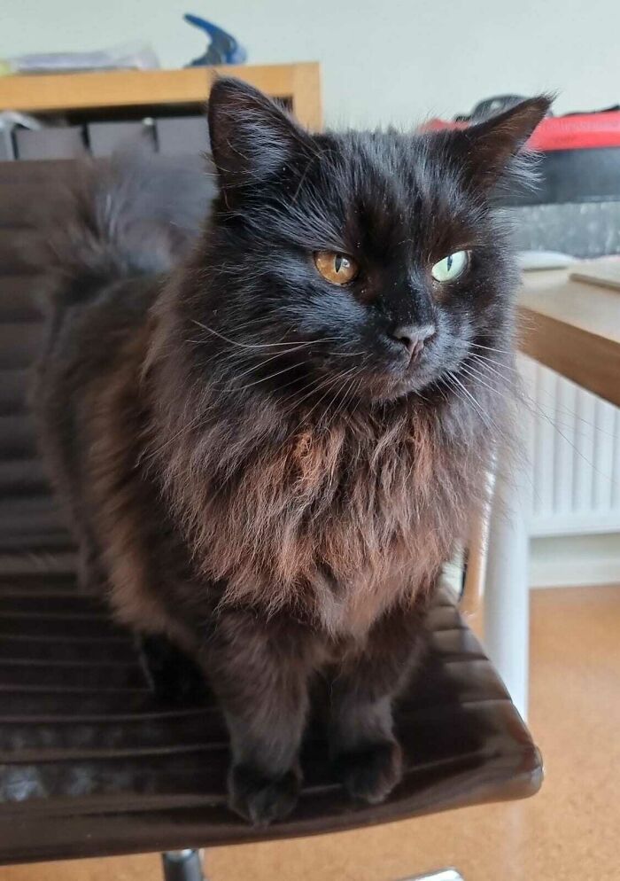 Este chico tan guapo adoptó a mi suegro