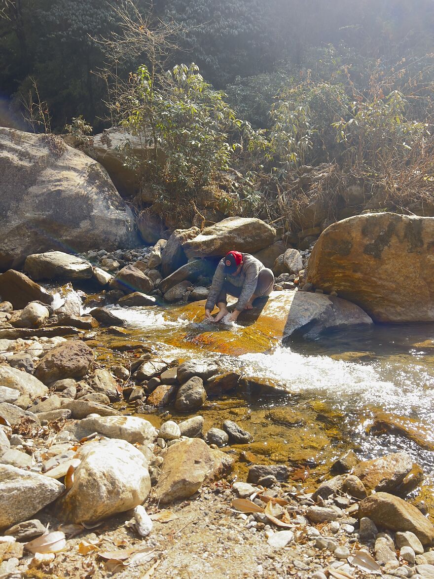 My 20 Photos That Will Make You Go For The Khopra Danda Trek