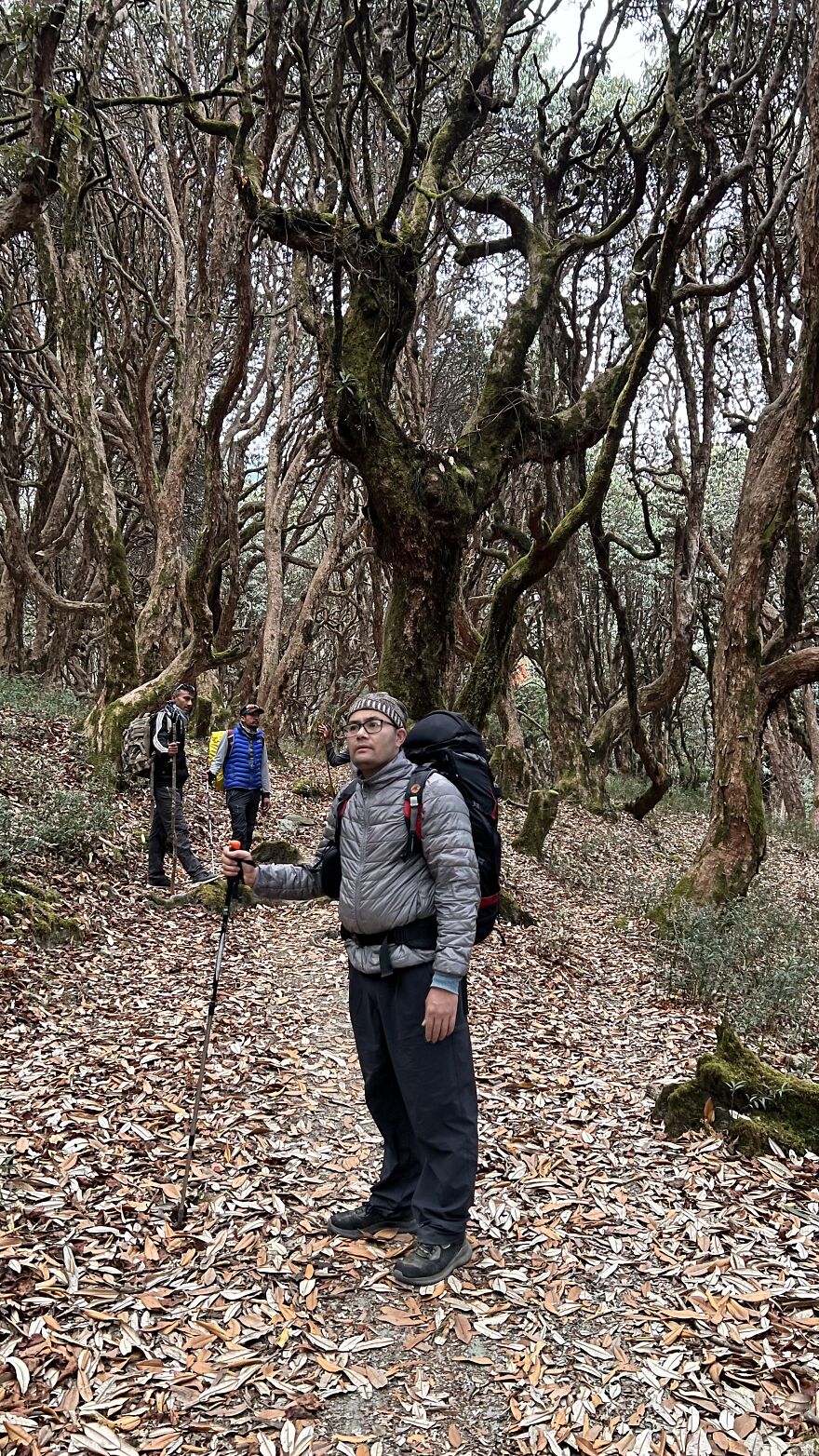 My 20 Photos That Will Make You Go For The Khopra Danda Trek