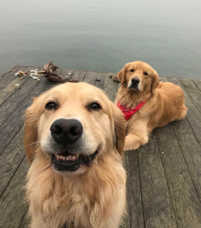 Parker’s Jealous Genie Stole The Picture With Her Smile