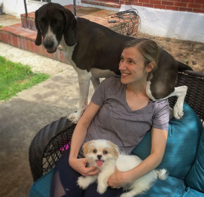 My Hound Getting Jealous Of My Mom’s New Dog. That’s Your Uncle Bro, Calm Down