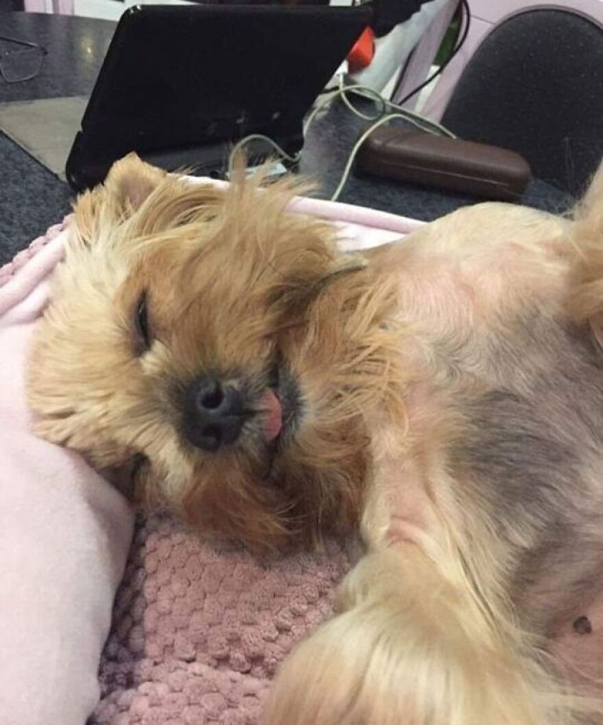 Meet Jessica, Woke Her Up With A Call On Facetime