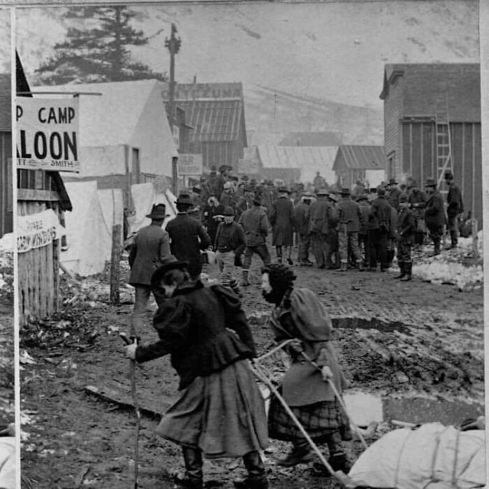 Female Gold Prospectors Pulling A Sled Loaded With Provisions, Alaska, 1898