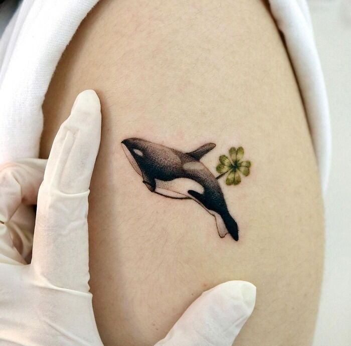 Orca and clover tattoo on arm highlighting the beauty of the animal kingdom, touched by a gloved hand.
