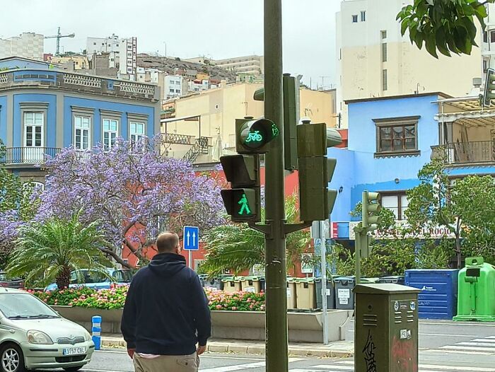 Pedestrian Light / Bike Light Mix, Spain