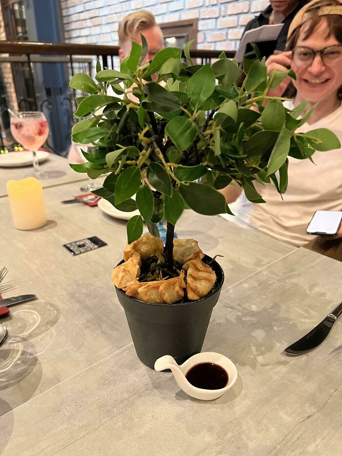 Have Some Gyoza With This Houseplant