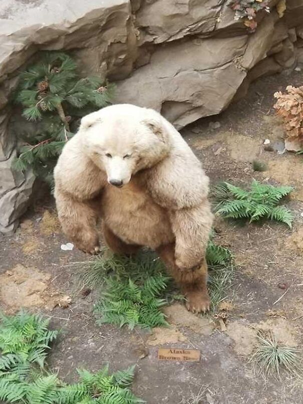 This Fella This Fella