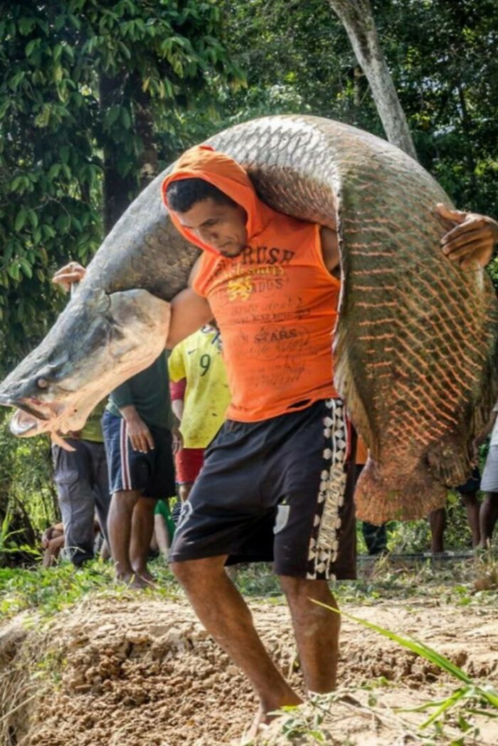 Unit Of The Fresh Water Variety