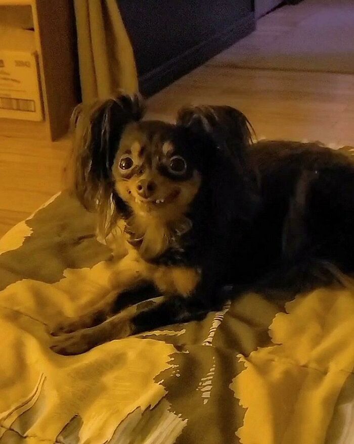 I Had No Idea This Sub Existed, But I'm So Glad Someone Let Me Know About It Because This Photo Of Sophie Fits Here Perfectly