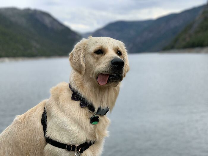 Appa Being His Typical Majestic Self