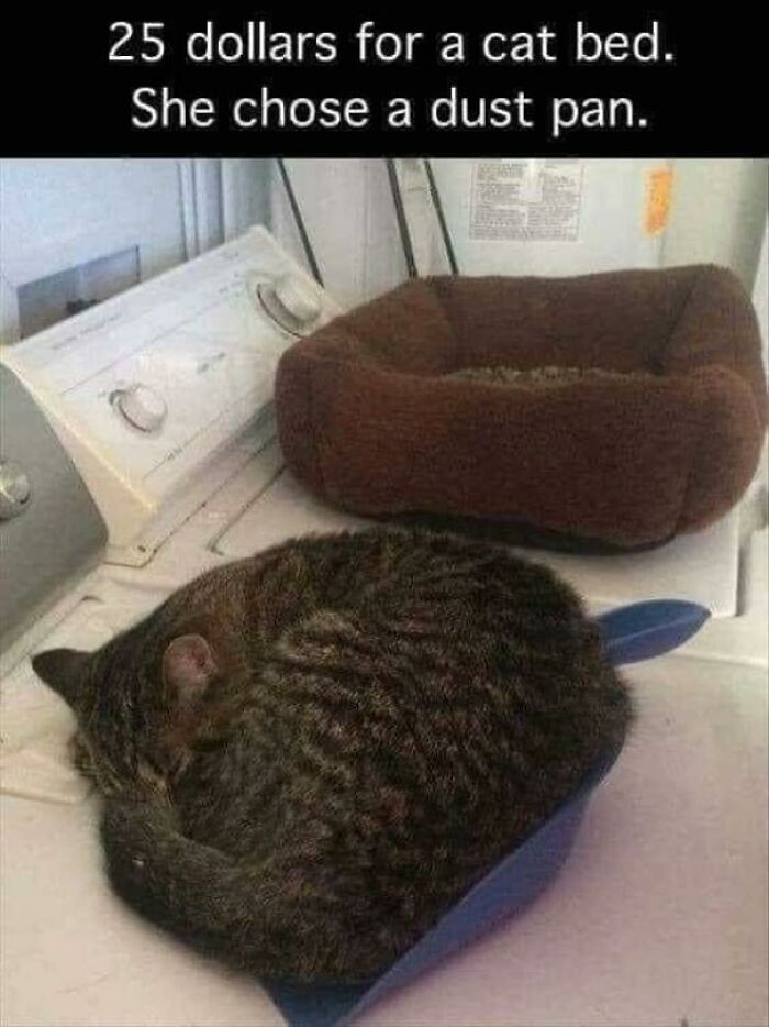 Dust Pan Is Better I Suppose